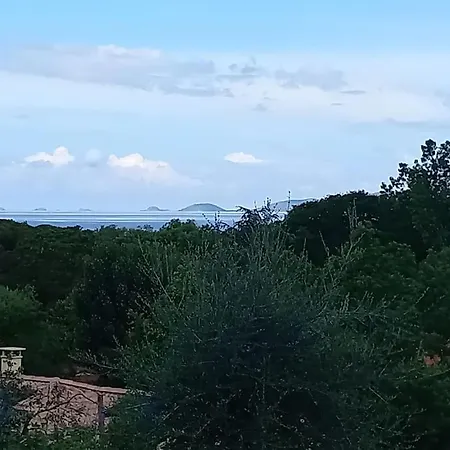 A Pied * Pietrosella
